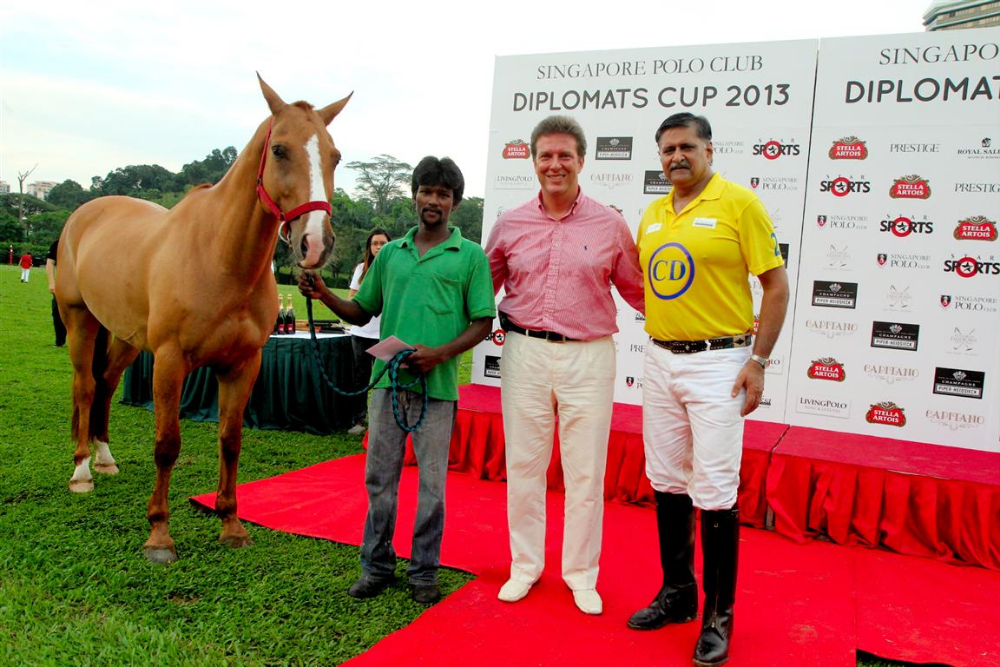 72 Best Turned out pony Bernie