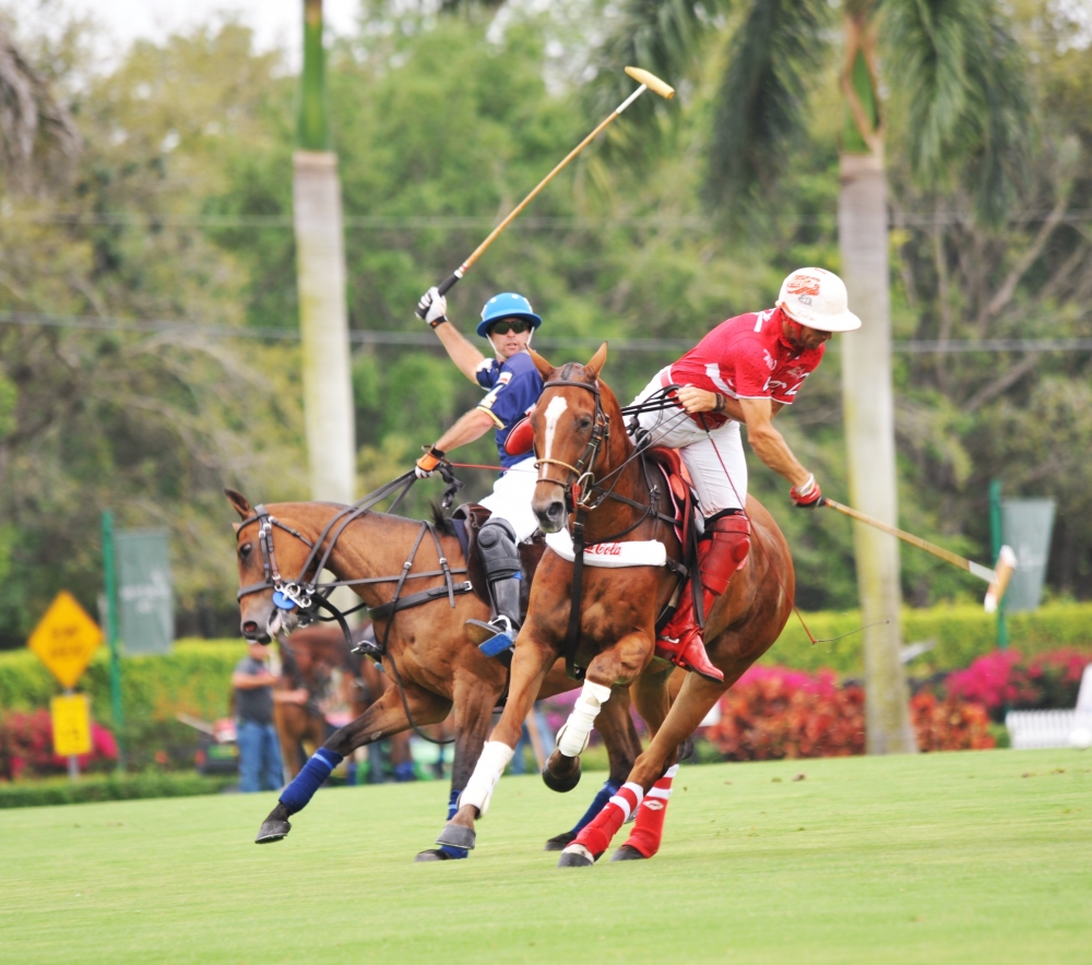 polo 1000x884.41388343157  1 polomagazine.jpg