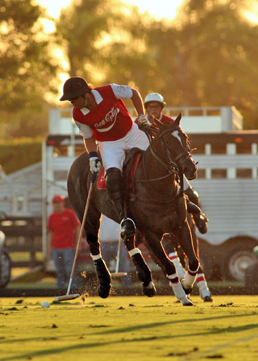 polomag coca polo team lechuza caracs us open florida polo