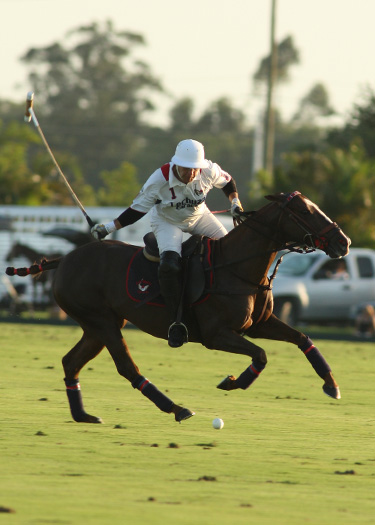 polomag coca polo team lechuza caracs us open florida polo 5